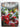Delia Smith's Winter Collection by Delia Smith