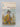 Johnny Tremain by Esther Forbes
