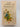 Women in Love by D. H. Lawrence