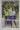 Instinctive tennis by Happy Bhalla