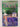 Invitation to Provence by Elizabeth Adler