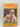 Gundogs for Field or Trial by Roy B. Burnell