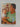 Thriving Under 5 (2015 edition) by Plunket - Book Express - Used Print Books