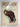 How to raise and train a pointer by Ernest H. Hart