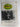 Waikato Thames Valley Official Handbook by NZ Bowling Association