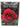 A celebration of old roses by Trevor Griffiths