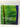 Foliage for the contemporary New Zealand garden by Julian Matthews