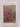 Camellia culture by Nz Camellia Society