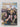 The Highlanders the first 50 years of the Gordon Rugby Football Club by Phil Wilkins