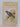 About our birds a collection of verses by Arnold Wall