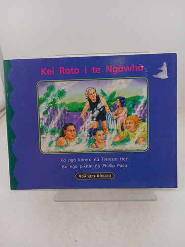 Print Books - kei roto i te ngawha-Nga kete korero (series) by Terressa Hori - Book Express