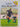 Little All Blacks by Peter Harold