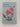 Print Books - Golfer's cook book by New Plymouth Ladies Golf Club - Book Express