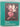 Plant classification by Lyman Benson