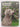 All about the Weimaraner by Patsy Hollings