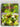 Perfect Salads by Linzi Alex Glass