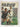 All Blacks Tour 72-73 by unknown