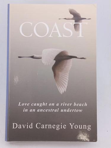 Coast by David Carnegie Young - Book Express - Used Print Books