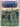 Germanys Army and Navy by Gustav A. Sigel