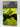 The Greek Myths: Volume 2 by Robert Graves