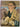 Rita Angus: An Artist's Life by Jill Trevelyan