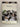 Birds of the Chatham Islands by Hilary Aikman