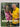 Rolf on Art by Rolf Harris