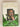 In the Line of Fire: A Memoir by Pervez Musharraf