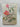 The Origins of Garden Plants by John Fisher