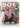 501 Must See Movies by Various