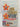 A View From The Square by John Trenhaile - Book Express - Used Print Books