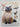 The Ultimate Cat Book by David Taylor