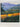 Colours of Wine by Denis La Touche, Rosemary George