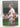 Rod Laver: A Memoir by Rod Laver, Larry Writer
