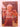 Print Books - Faking It: My Life in Transition by Kyle Mewburn - Book Express