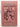 A Street in Marrakech by Elizabeth Warnock Fernea - Book Express - Used Print Books
