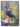 New Zealand Birds by Bronwen Wall