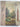 In Search of Rex Whistler: His Life & His Work by Hugh Cecil, Mirabel Cecil - Book Express - Used Print Books