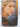 The White Queen by Philippa Gregory