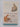 The Moon Cottage Cats, Vol. 1 by Marilyn Edwards