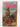 Twisted Trails by Orlando Rigoni - Book Express - Used Print Books