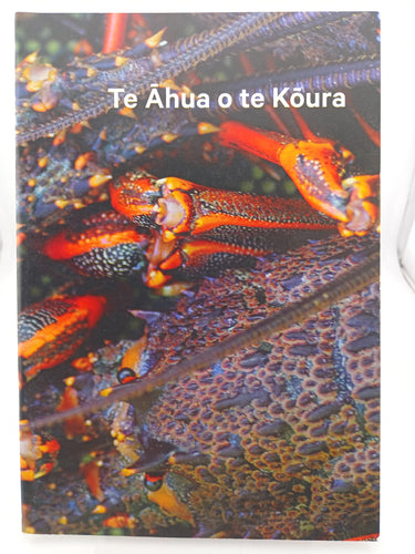 Te Ahua o te Koura by Na Ra Pomare i Tuhi, Na Heni Jacobi whakamaori - Book Express - Used Print Books