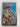 Star Rider by Doris Piserchia - Book Express - Used Print Books