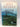 Salem Falls by Jodi Picoult