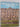 Historic Houses of Britain by Mark Girouard