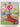 A Dog Called Bear (PM Library) by Annette Smith