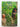 In the Shadow of Man by Jane Goodall - Book Express - Used Print Books