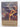 The Most Dangerous Animal by David Smith - Book Express - Used Print Books