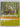 Biodiversity Of Temperate Forests by Greg Pyers