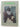 Evolution by Colin Patterson - Book Express - Used Print Books